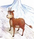 Avatar du membre