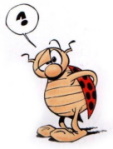 Avatar du membre