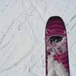 Avatar du membre