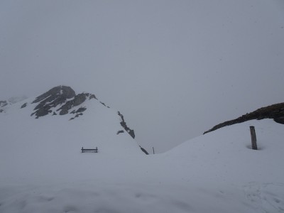 Oursière 01 05 21 (7).JPG