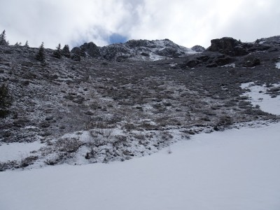 Oursière Velours 12 05 21 (4).JPG