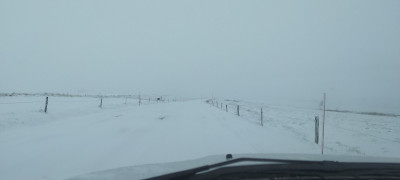 IMG20211128132809.jpg