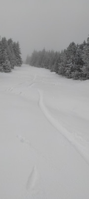 IMG20211128145203.jpg