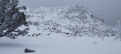 IMG20211207134142.jpg