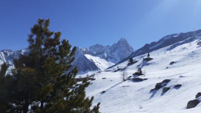 IMG-20220501-WA0009.jpeg