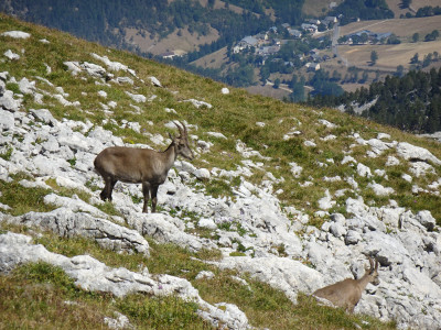 Vercors Ecrins (9).JPG