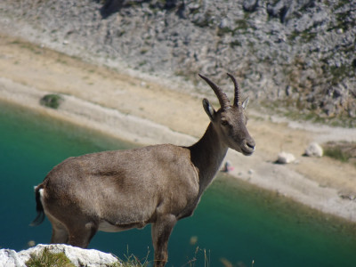 Vercors Ecrins (10).JPG