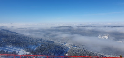 20230129_122155.jpg