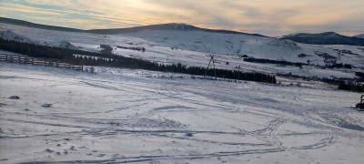 IMG20231207093321.jpg