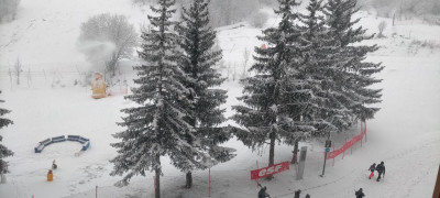 IMG20240105083535.jpg