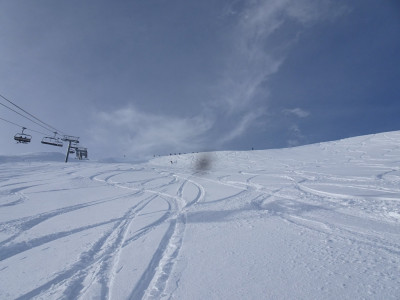 Si Belles Traces 2023 J1 (1).JPG