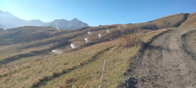 IMG20241030094008.jpg