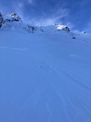 IMG_9485.jpeg
