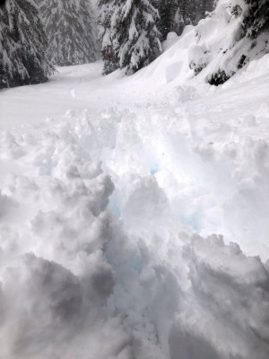 J'en aurai brassé du ven^H^H^H de la neige !