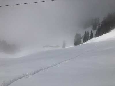 C'est bÔ la nature (surtout quand c'est blanc)