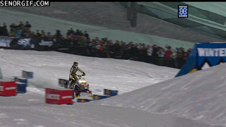 rasta rocket yeah.gif