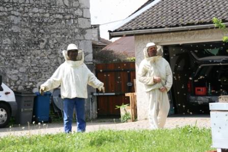 éstratérèstes