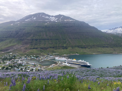 IMG_1035.jpeg