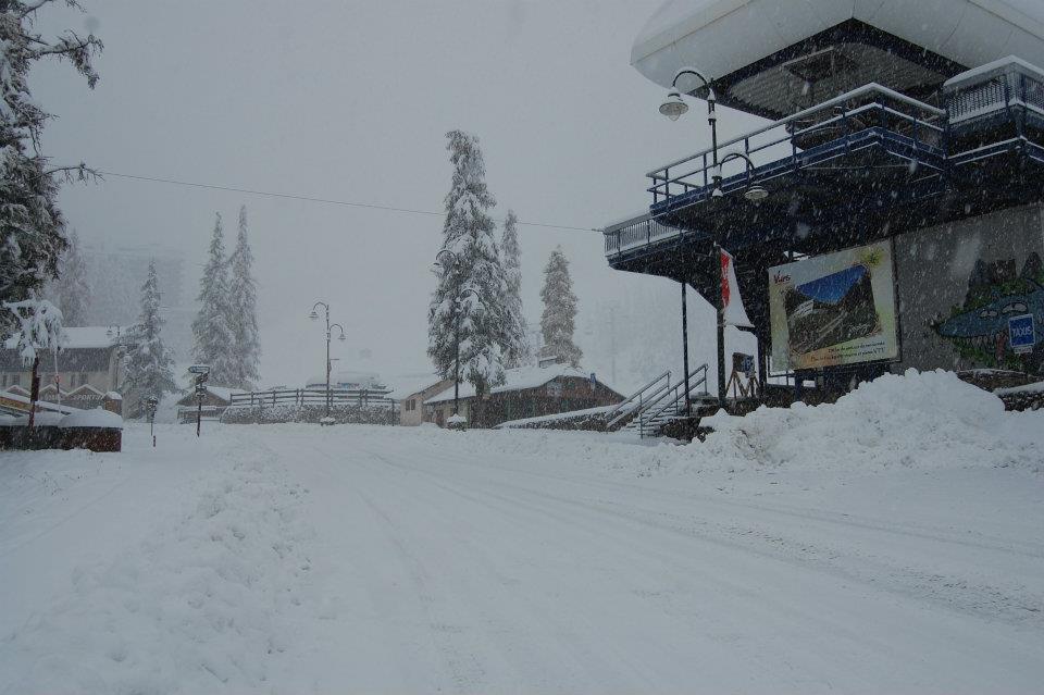 vars25102011.jpg