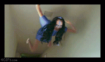 araignée au plafond.gif