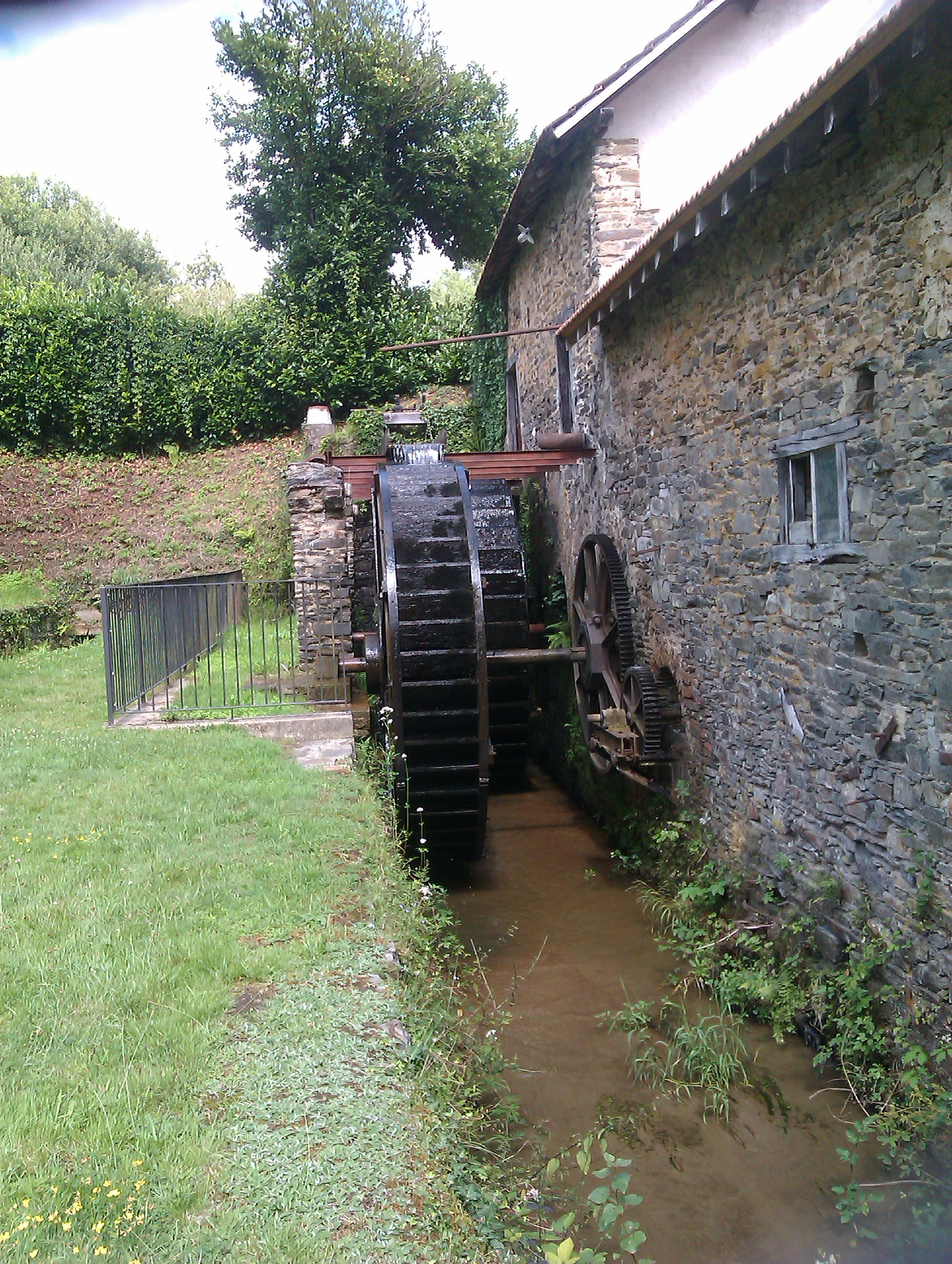 IMAG0528.jpg