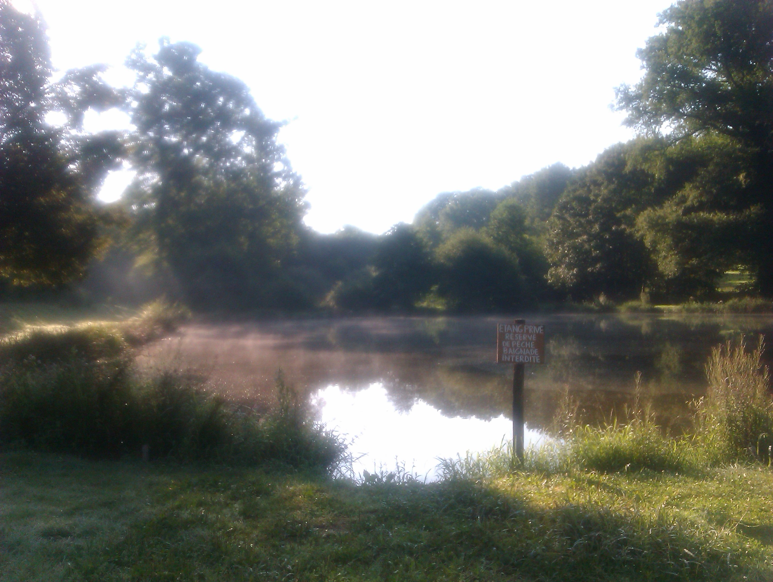 IMAG0533.jpg