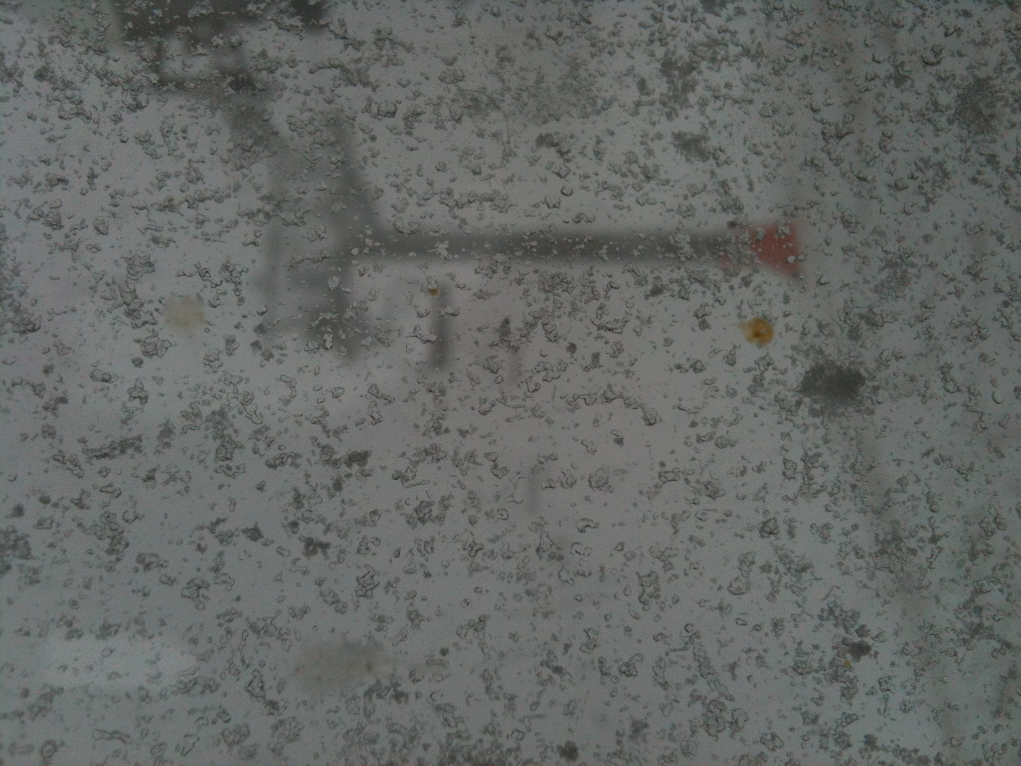 Tiens y neige ?!?