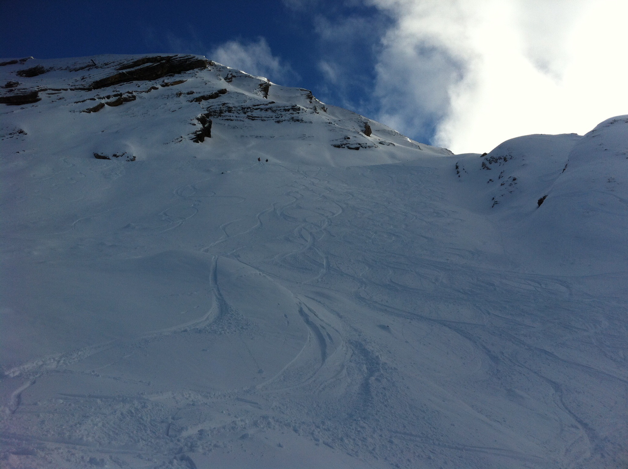 Balme