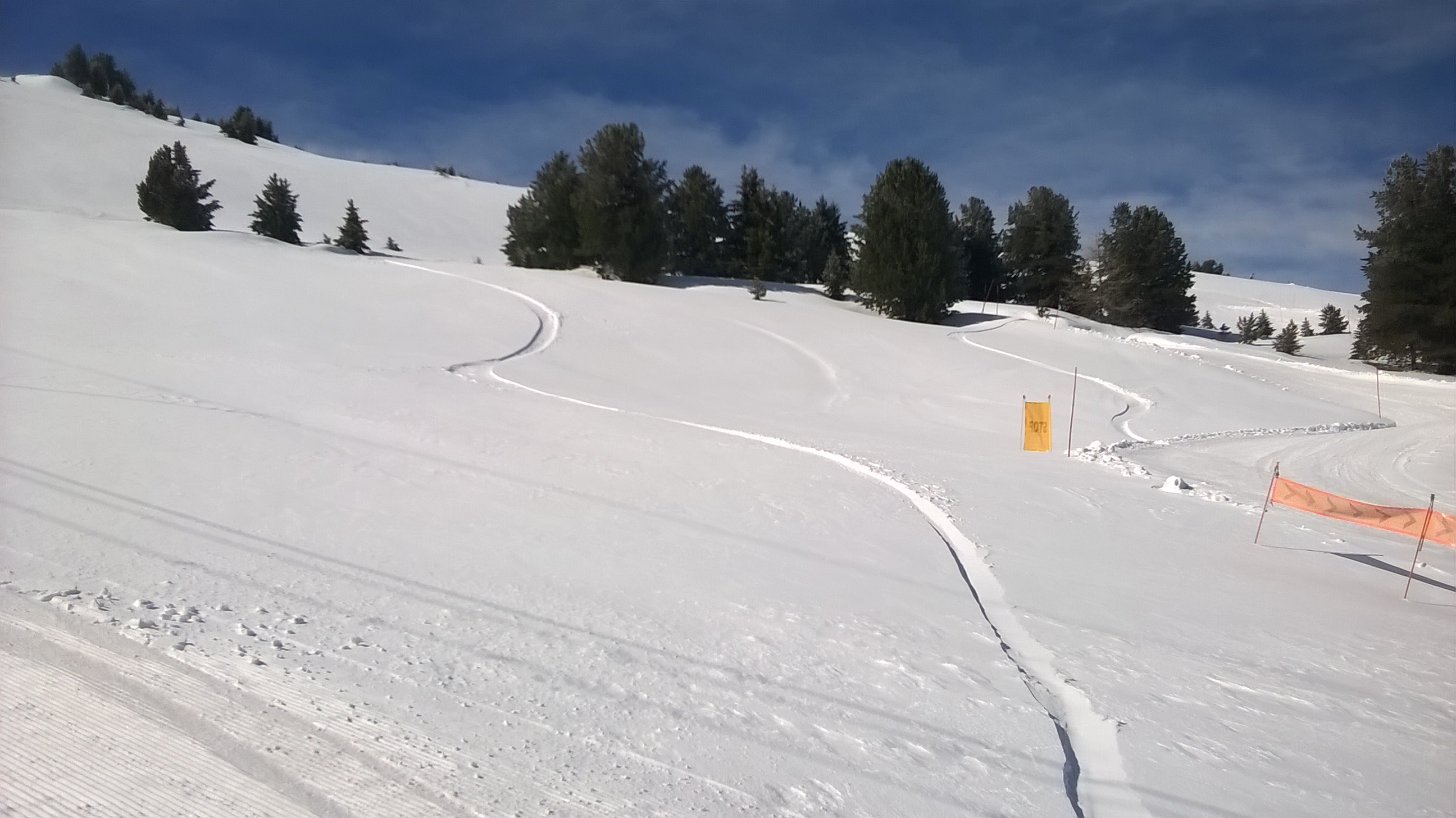 WP_20160414_11_02_54_Pro.jpg