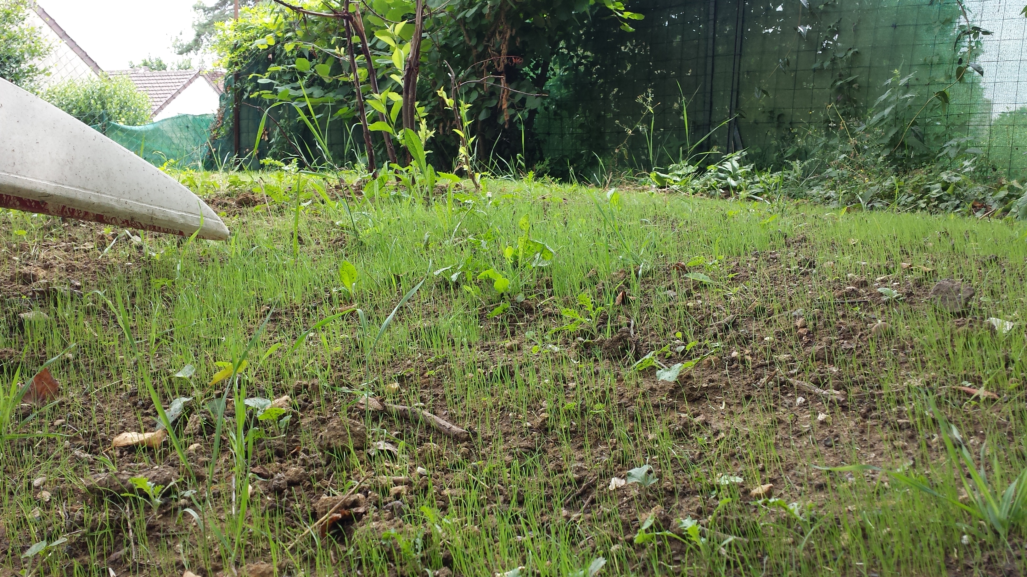 20160727_145526.jpg