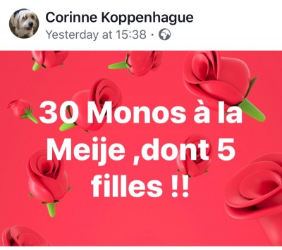 Merci Coco