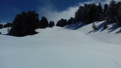 20190430_113226.jpg