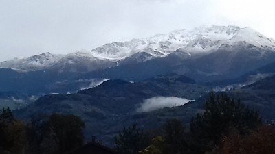 Dahu photo.jpg