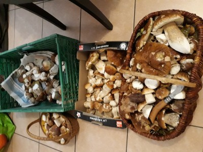 Jeudi passé  récolte  d anthologie pour moi