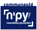 logo npy.png