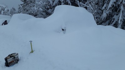 20190203_094639.jpg