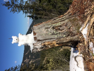 Un ours dan’l bois..