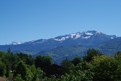 IMGP8696.JPG