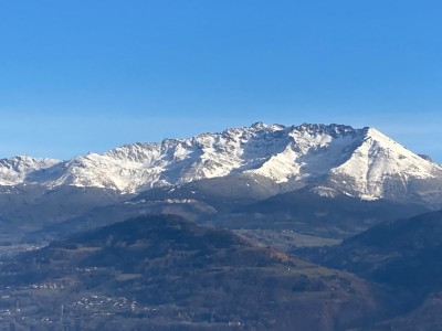 IMG_4832.jpg