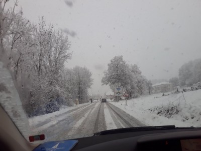 20201204_134820.jpg