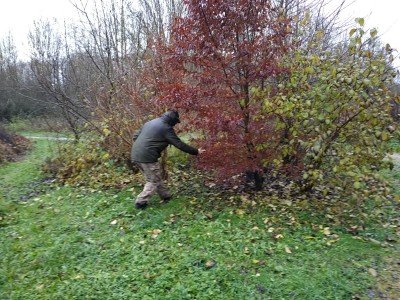 IMG_20201221_152033.jpg
