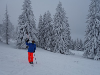 Vallée de Joux 67 01 21 (6).JPG