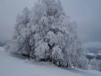 Vallée de Joux 67 01 21 (8).JPG