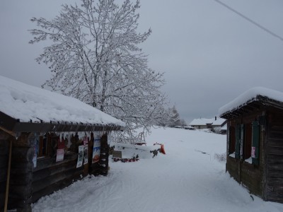 Vallée de Joux 67 01 21 (15).JPG