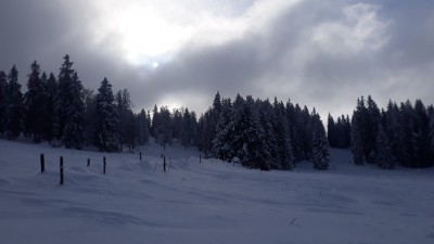 Les nuages passent en rafales, les sapins perdent leurs blancs manteaux,,,courbasser à leur niveaux est un pur moment de powpow