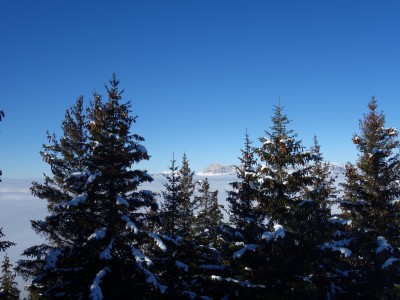 Col du Pouta 11 01 21 (4).JPG