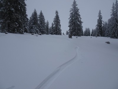 Les Rasses 13 01 21 (11).JPG