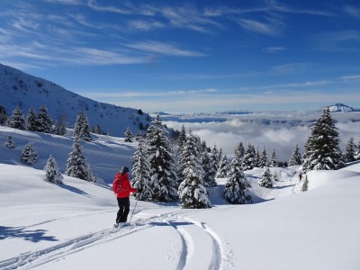 Col du Lac 31 01 21 (18).JPG
