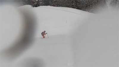 Zebro.jpg
