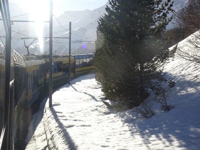 Grindwald Wegen 01 03 21 (38).JPG
